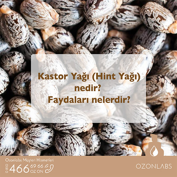 Kastor Yağı (Hint Yağı) nedir? Ne işe yarar?